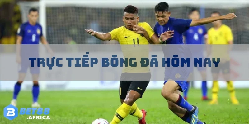 truc tiep bong da hom nay